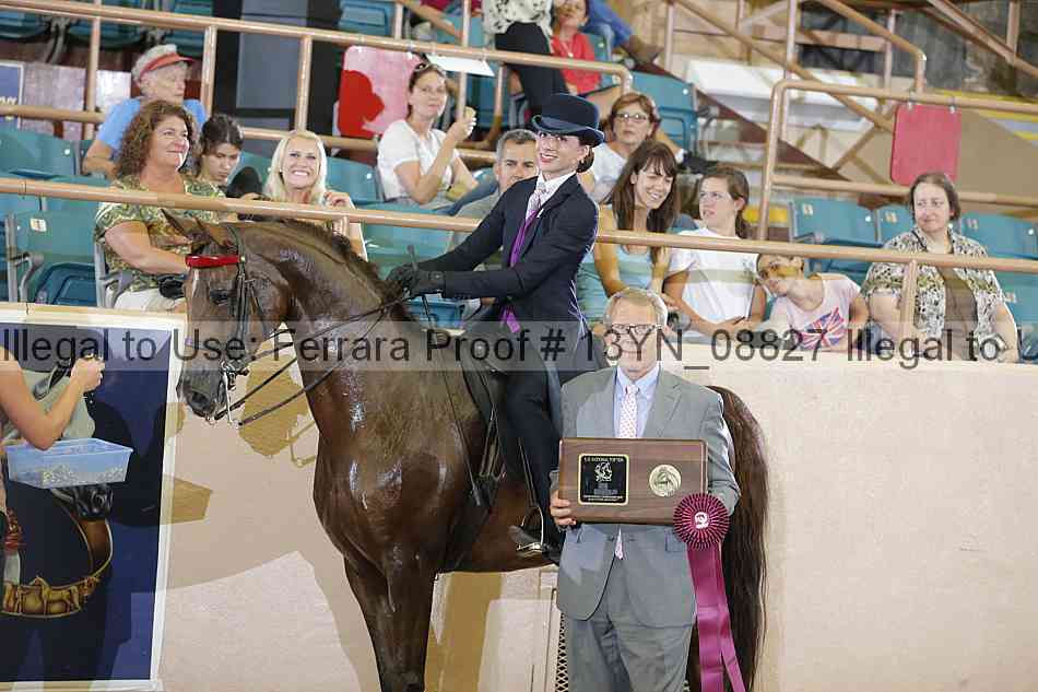 Proof 13yn_08827