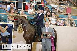 13yn_08827 proof