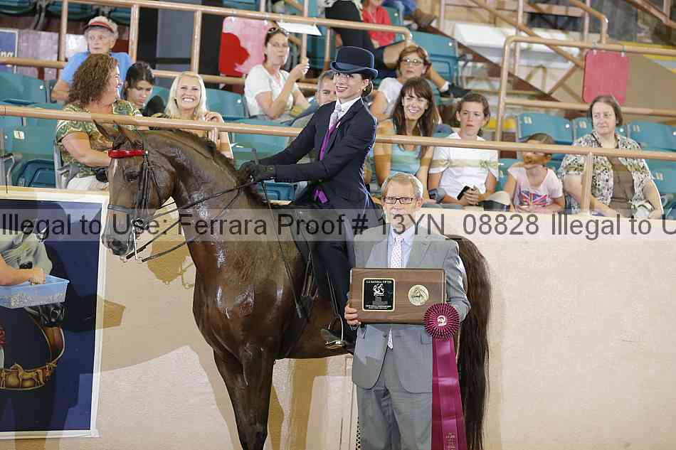 Proof 13yn_08828