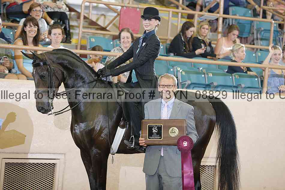 Proof 13yn_08829