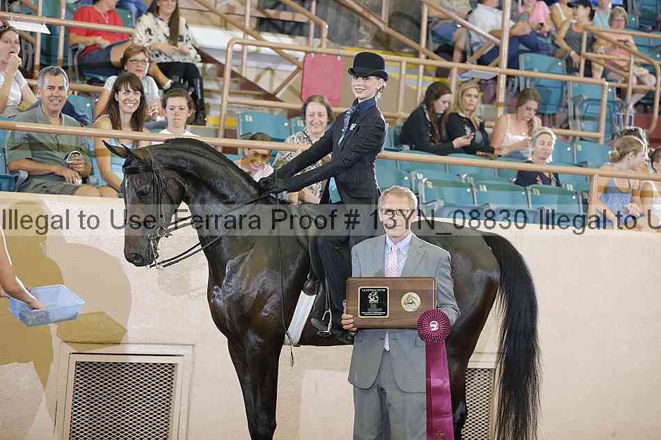 Proof 13yn_08830