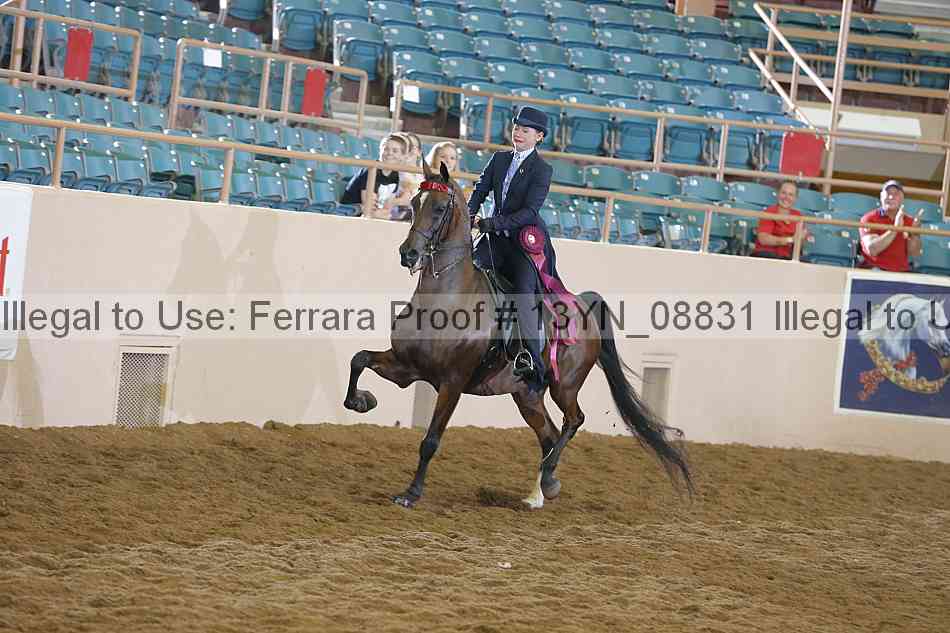 Proof 13yn_08831