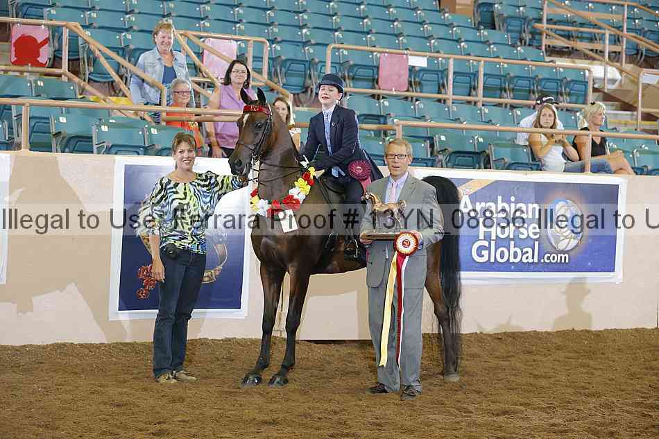 Proof 13yn_08836