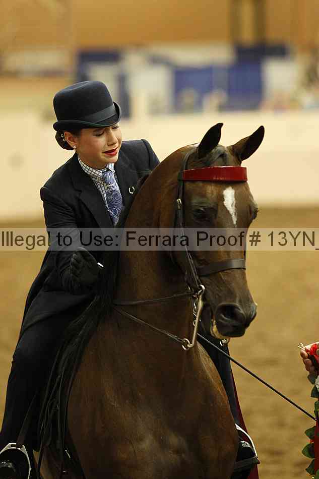 Proof 13yn_08837