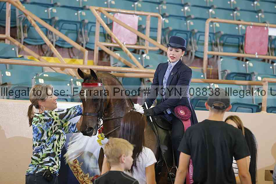 Proof 13yn_08838