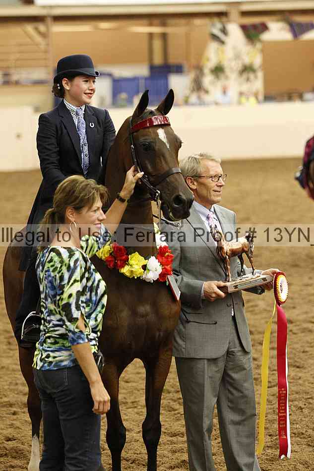 Proof 13yn_08839