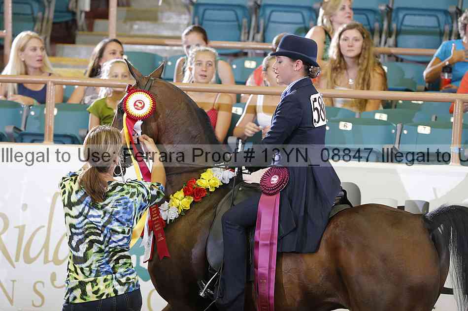 Proof 13yn_08847
