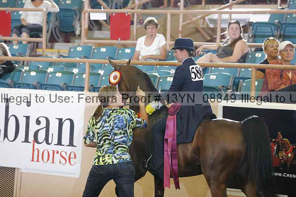 Proof 13yn_08849