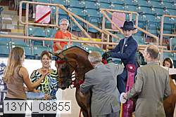13yn_08855 proof