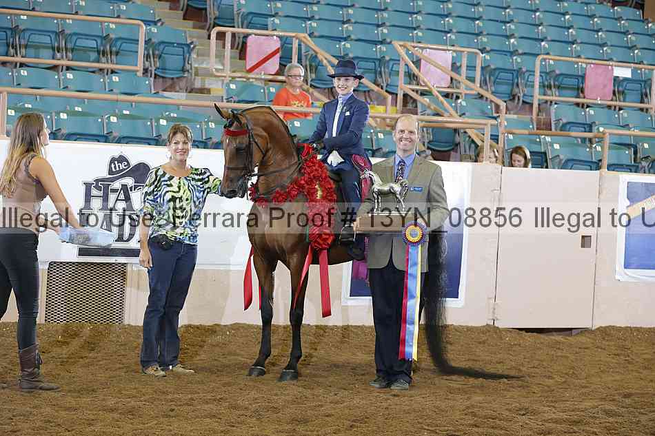 Proof 13yn_08856