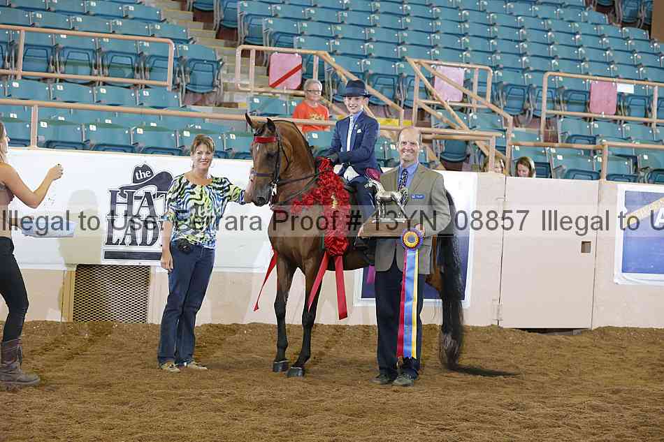 Proof 13yn_08857