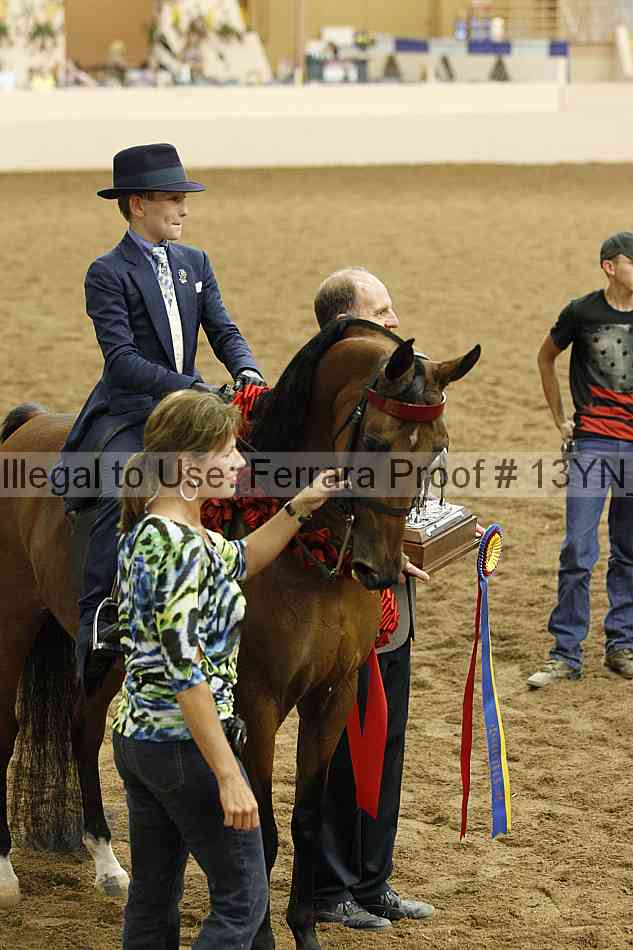 Proof 13yn_08859