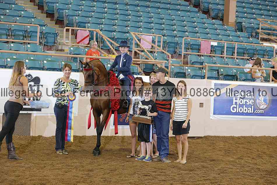 Proof 13yn_08860