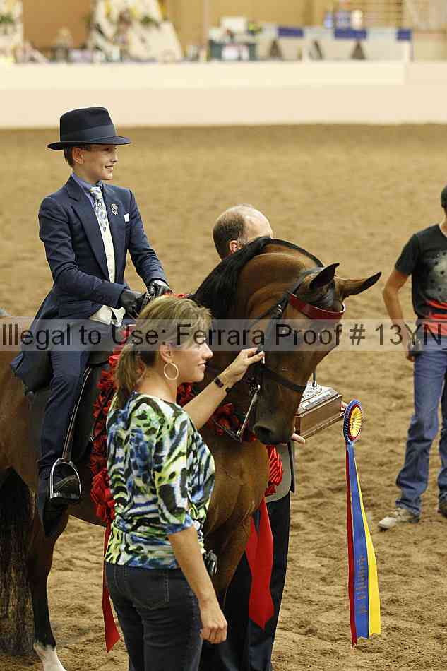 Proof 13yn_08861