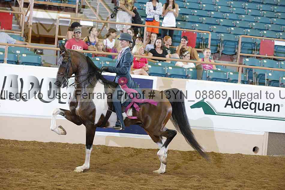 Proof 13yn_08869