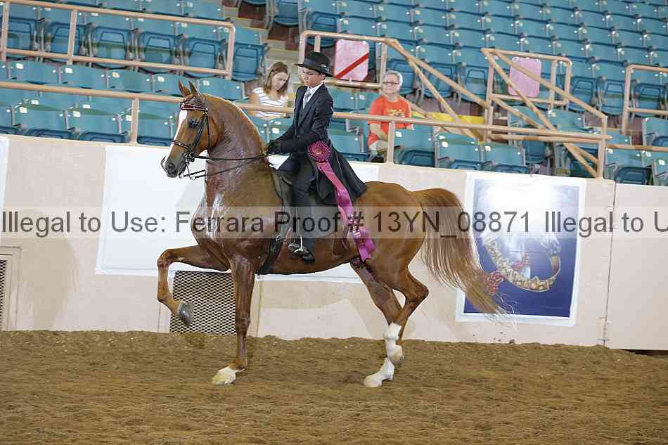 Proof 13yn_08871