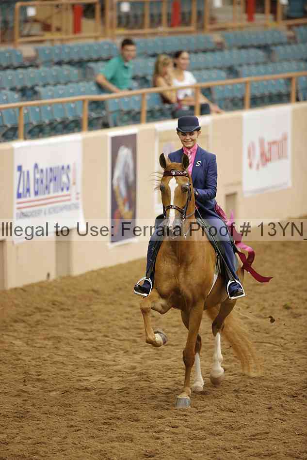 Proof 13yn_08879