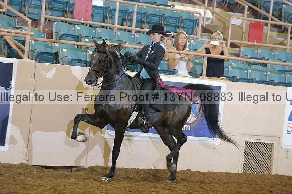 Proof 13yn_08883