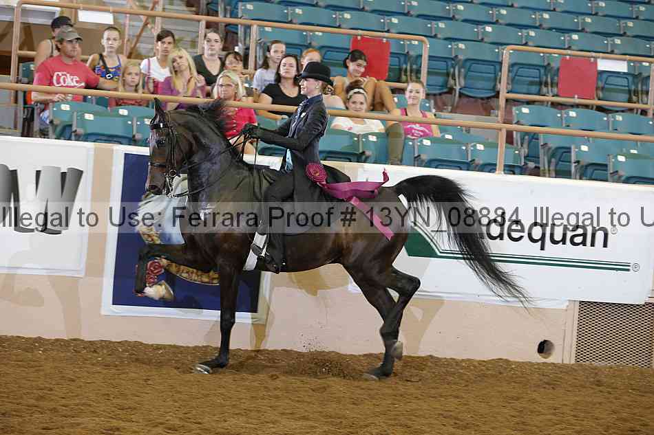 Proof 13yn_08884