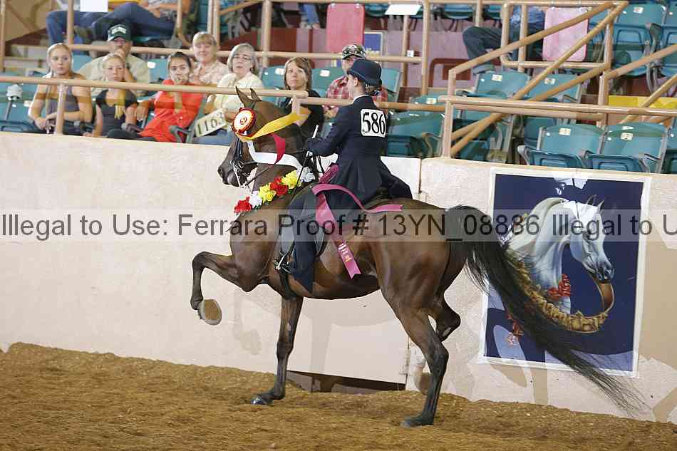 Proof 13yn_08886