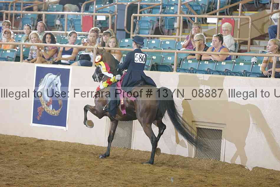Proof 13yn_08887