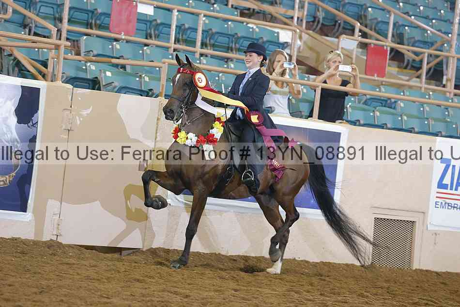 Proof 13yn_08891