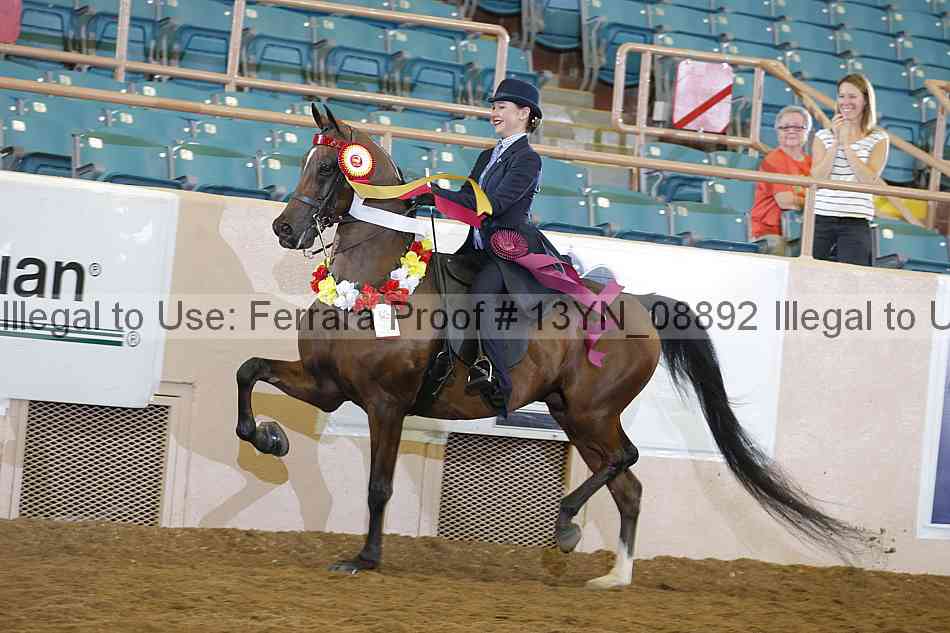 Proof 13yn_08892