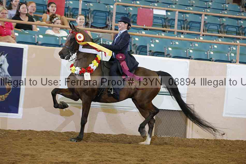 Proof 13yn_08894