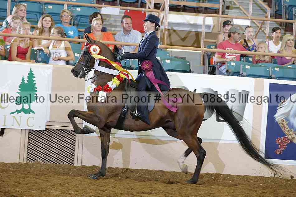 Proof 13yn_08895