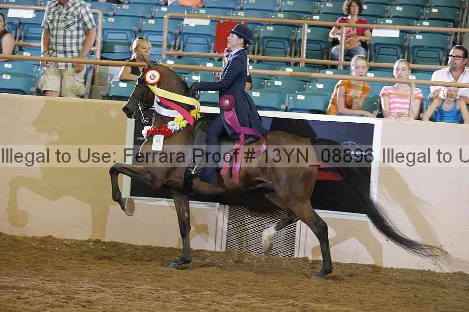 Proof 13yn_08896