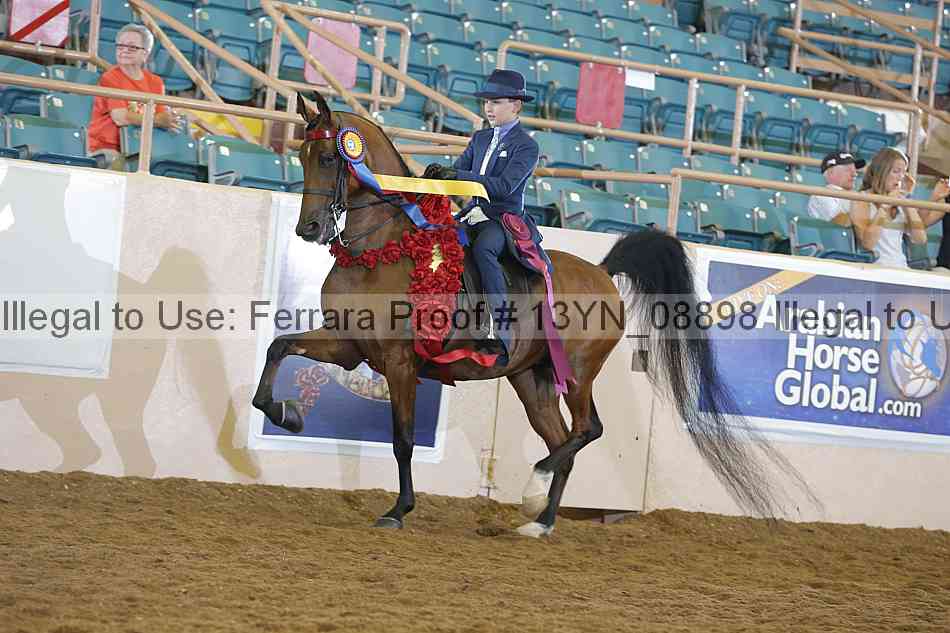 Proof 13yn_08898