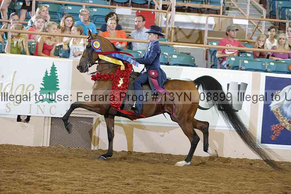 Proof 13yn_08899
