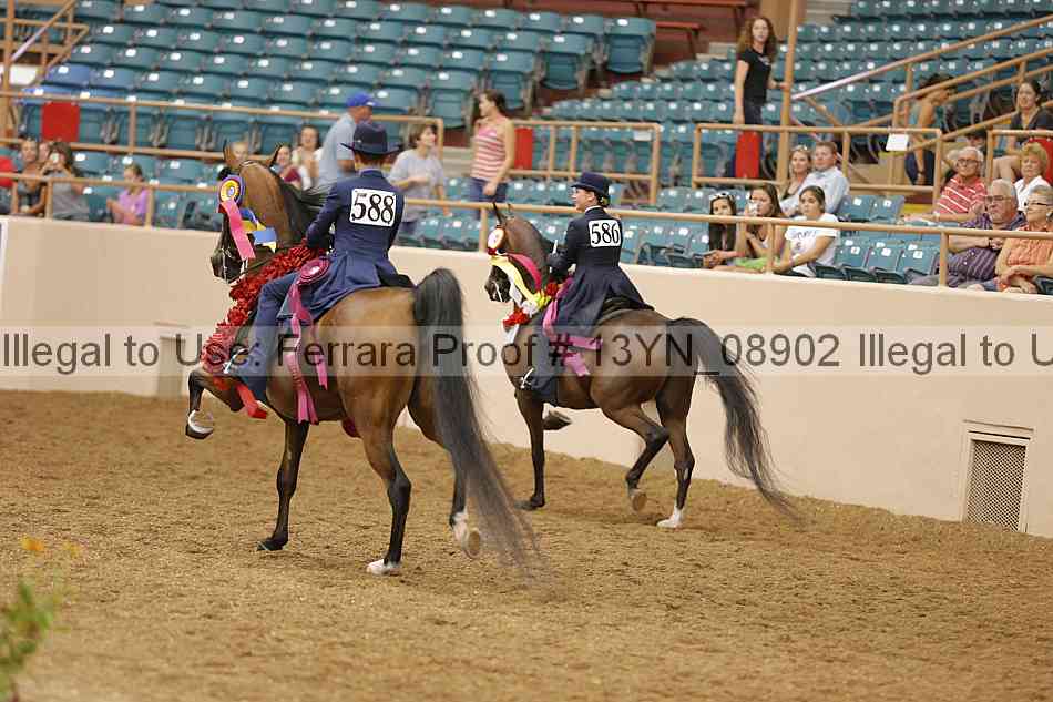Proof 13yn_08902