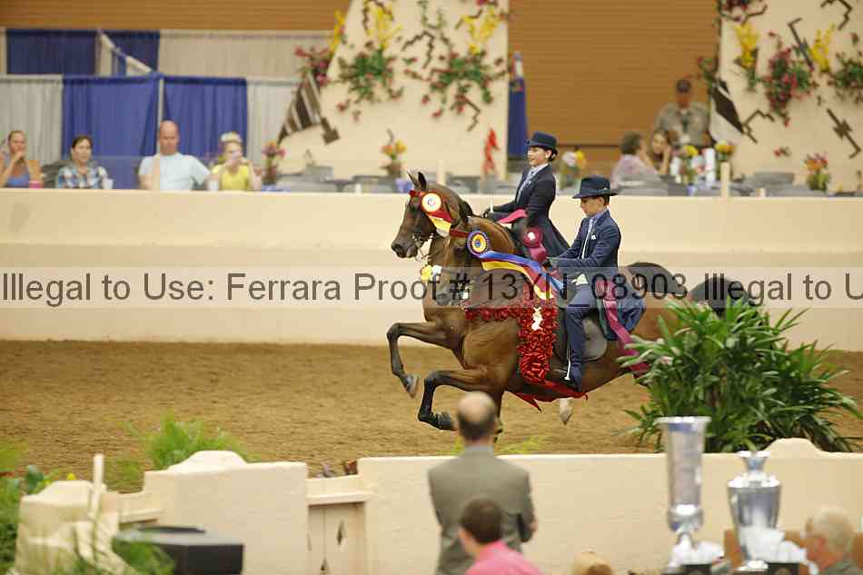 Proof 13yn_08903
