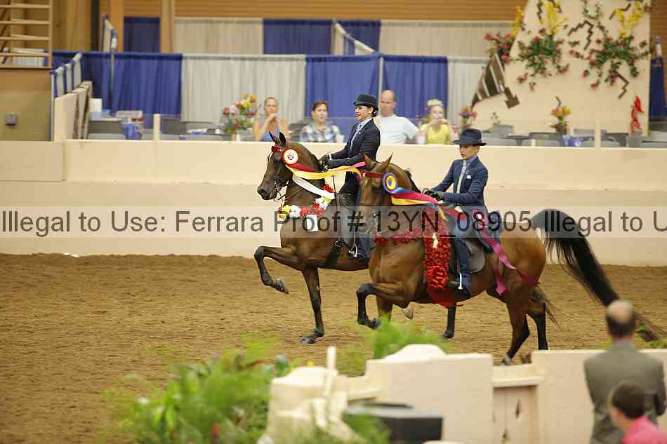 Proof 13yn_08905