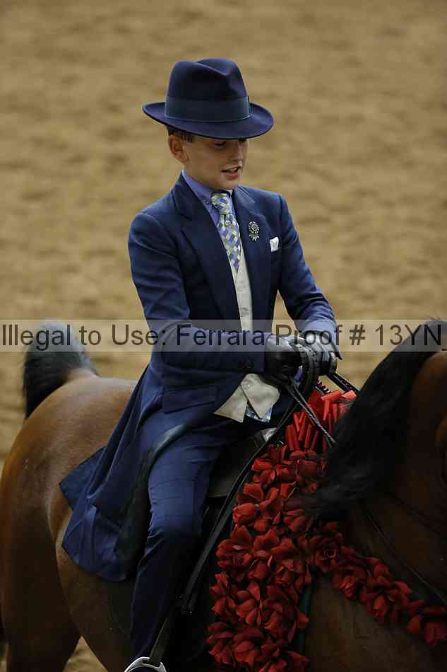 Proof 13yn_08906