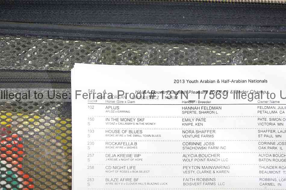 Proof 13yn_17569