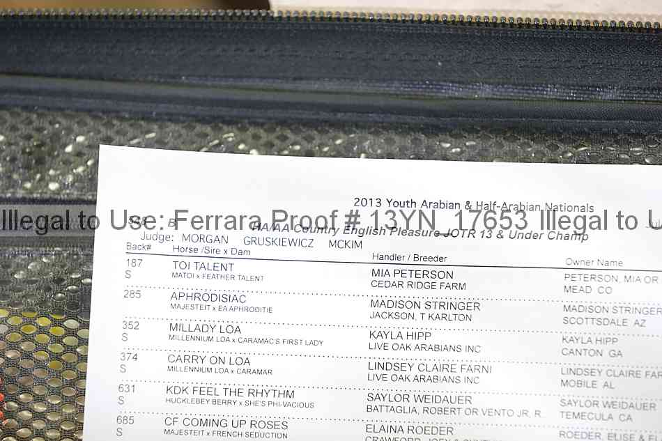Proof 13yn_17653