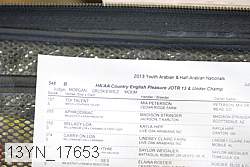 13yn_17653 proof