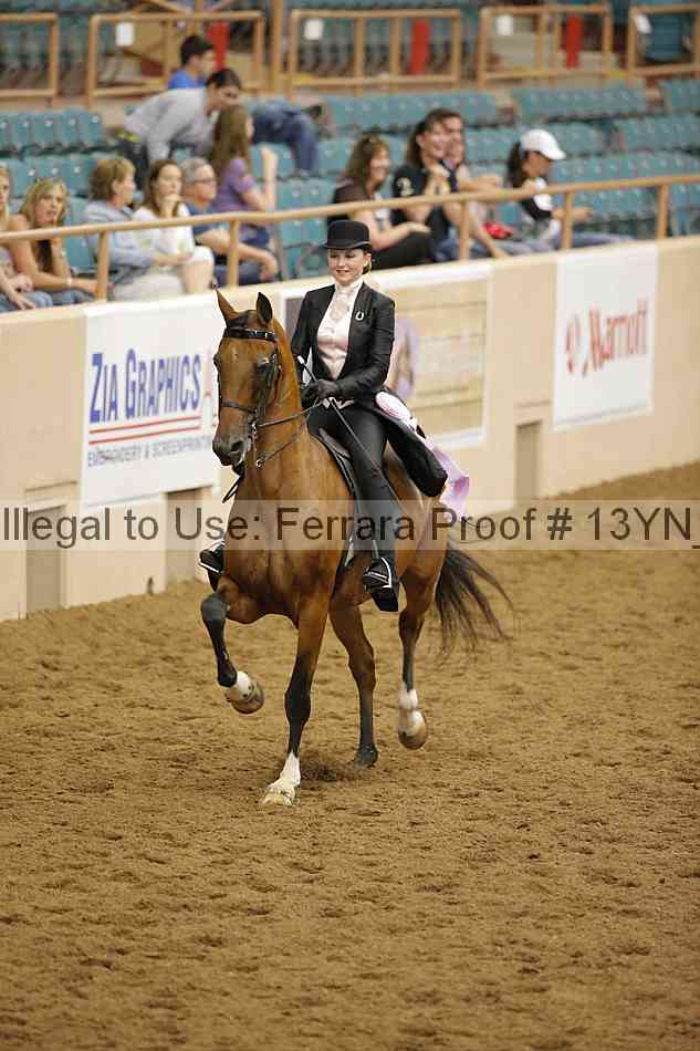 Proof 13yn_17705