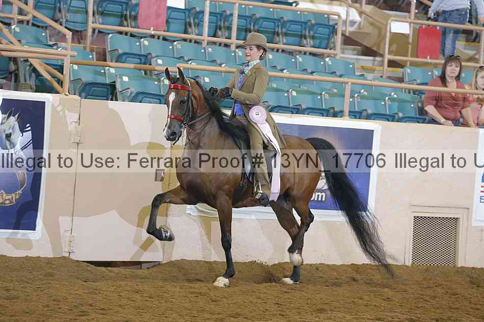 Proof 13yn_17706