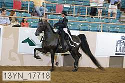 13yn_17718 proof