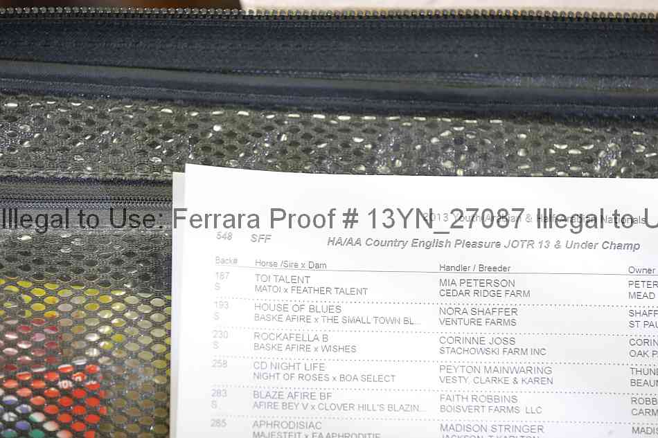 Proof 13yn_27087