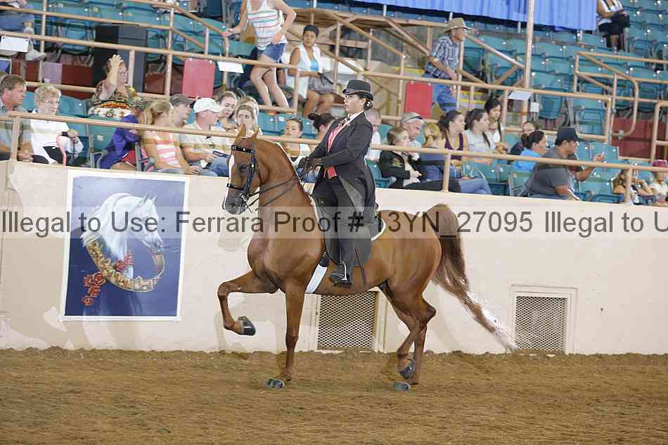 Proof 13yn_27095