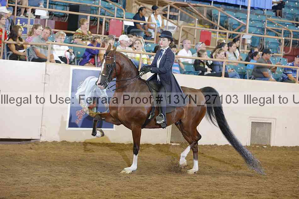 Proof 13yn_27103