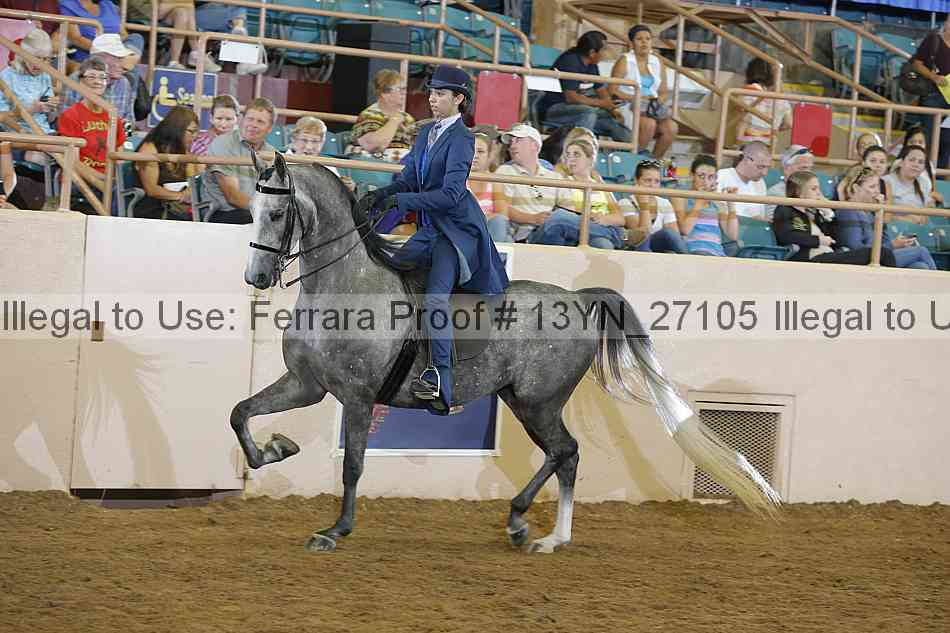 Proof 13yn_27105