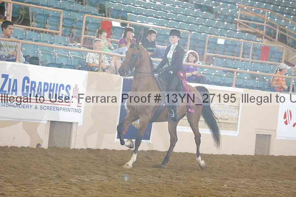 Proof 13yn_27195