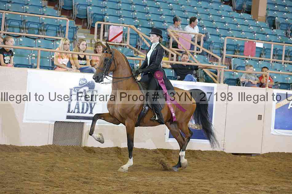 Proof 13yn_27198