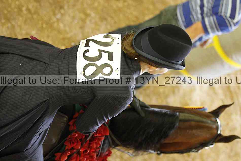 Proof 13yn_27243