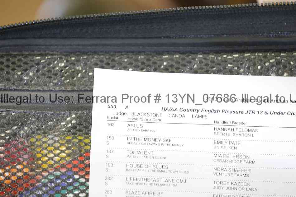 Proof 13yn_07686